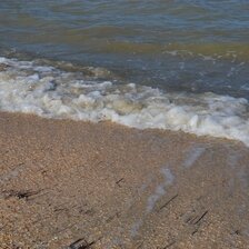 DSC_0532.JPG